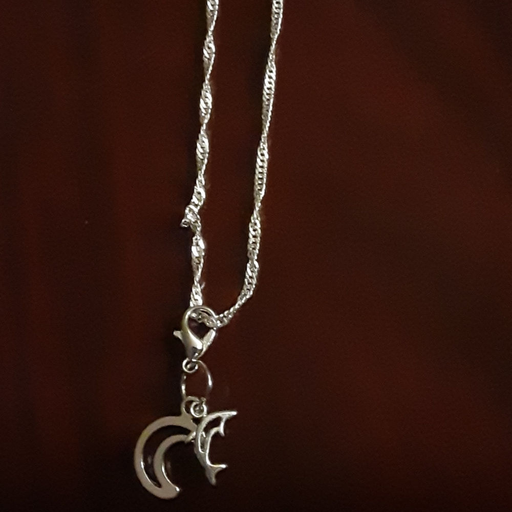 silver necklace with charms